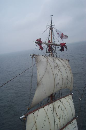 DCP_3955.JPG