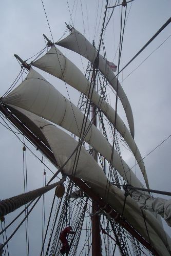 DCP_3956.JPG
