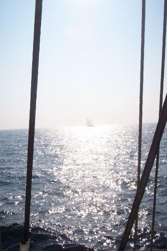 DCP_3963.JPG