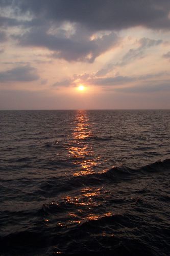 DCP_3981.JPG