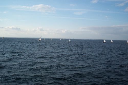 DCP_4056.JPG