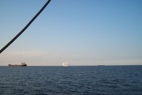 DCP_3794.JPG