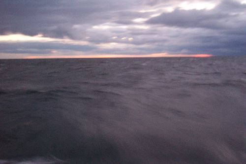 DCP_3848.JPG