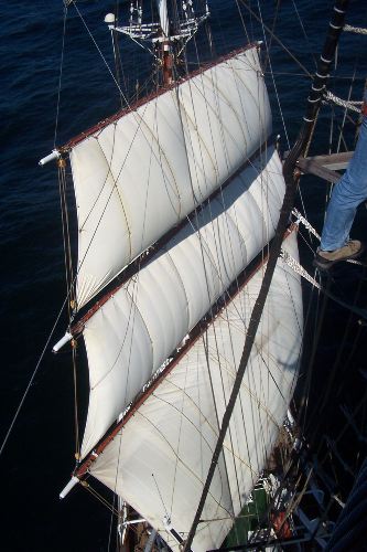 DCP_3852.JPG