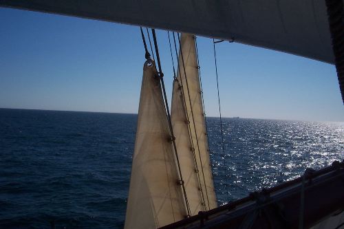 DCP_3856.JPG