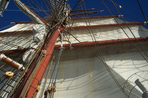 DCP_3862.JPG