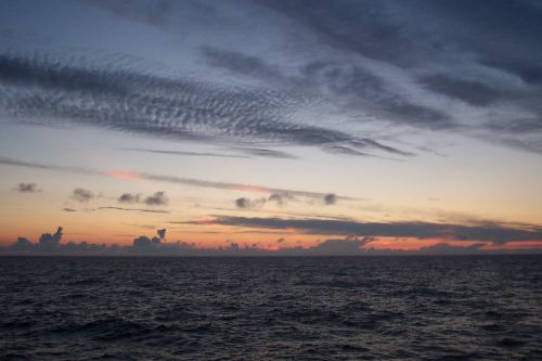 DCP_3879.JPG