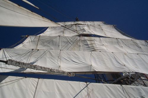 DCP_3887.JPG
