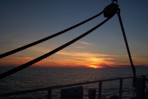 DCP_3906.JPG