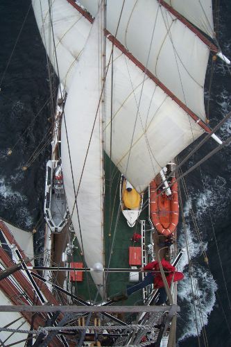 DCP_3938.JPG