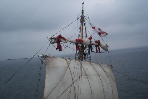 DCP_3953.JPG