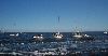 DCP_3778.JPG