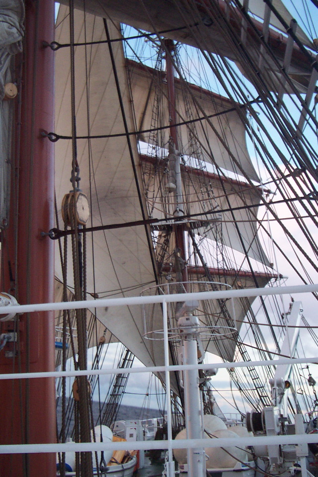 DCP_3839.JPG