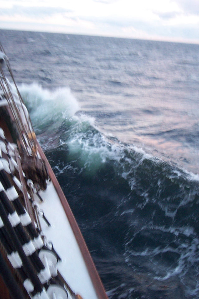 DCP_3843.JPG