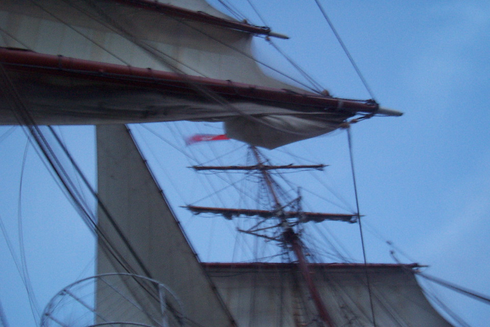 DCP_3846.JPG