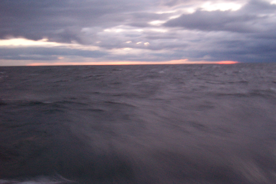 DCP_3848.JPG