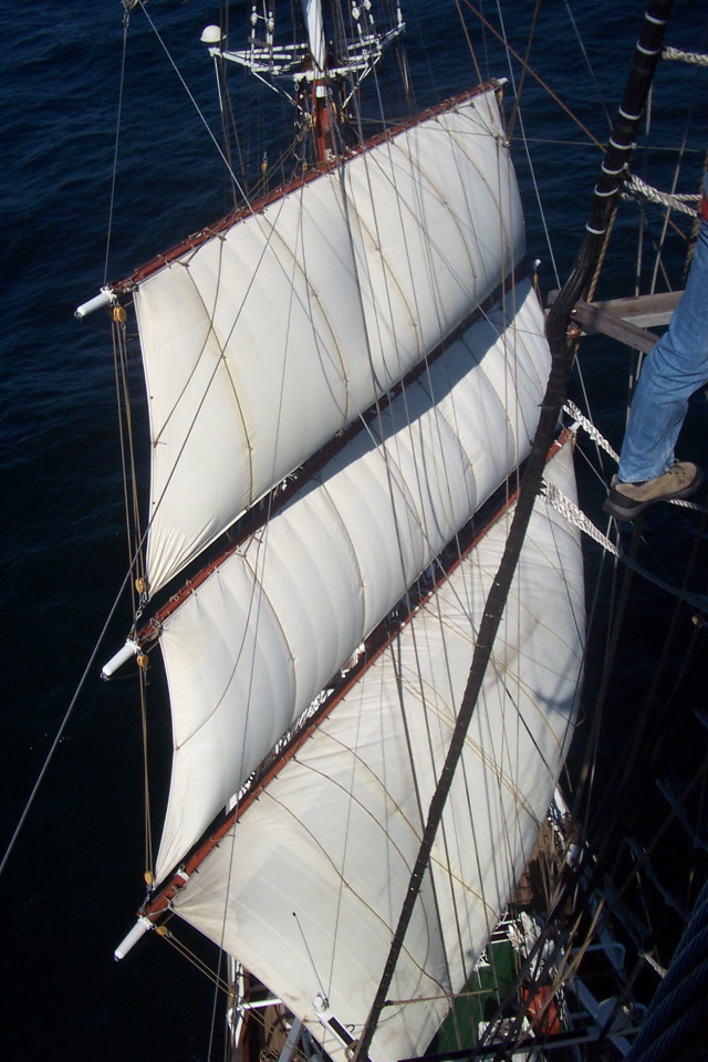 DCP_3852.JPG
