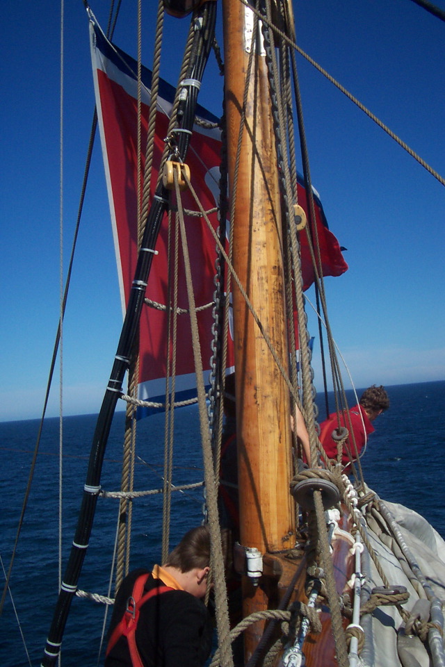 DCP_3853.JPG