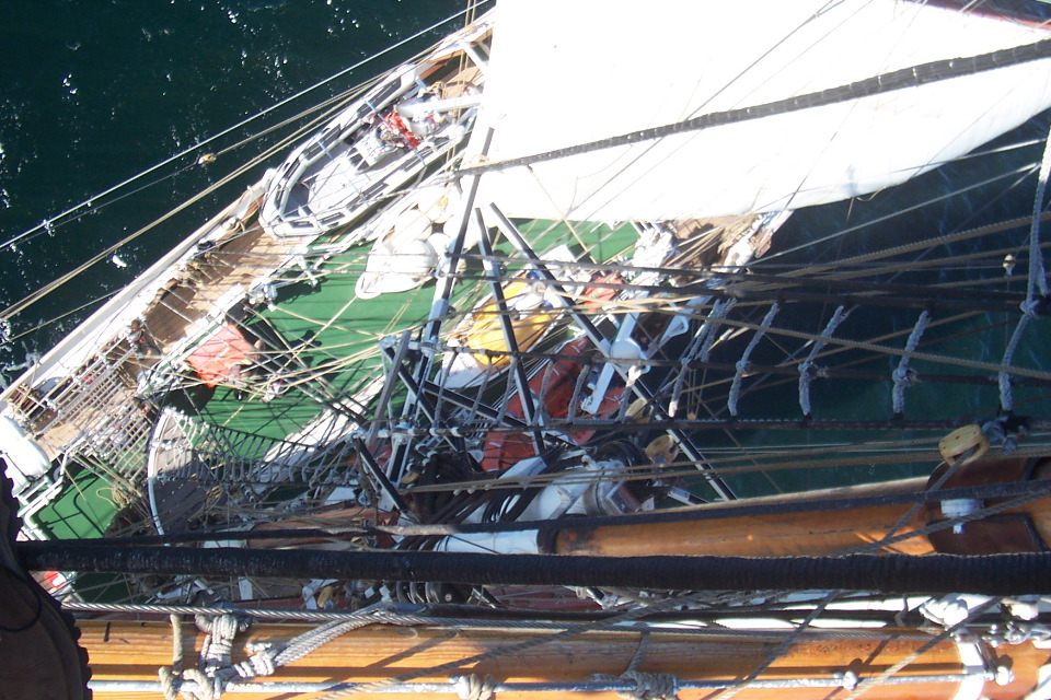 DCP_3854.JPG