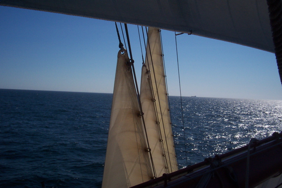 DCP_3856.JPG