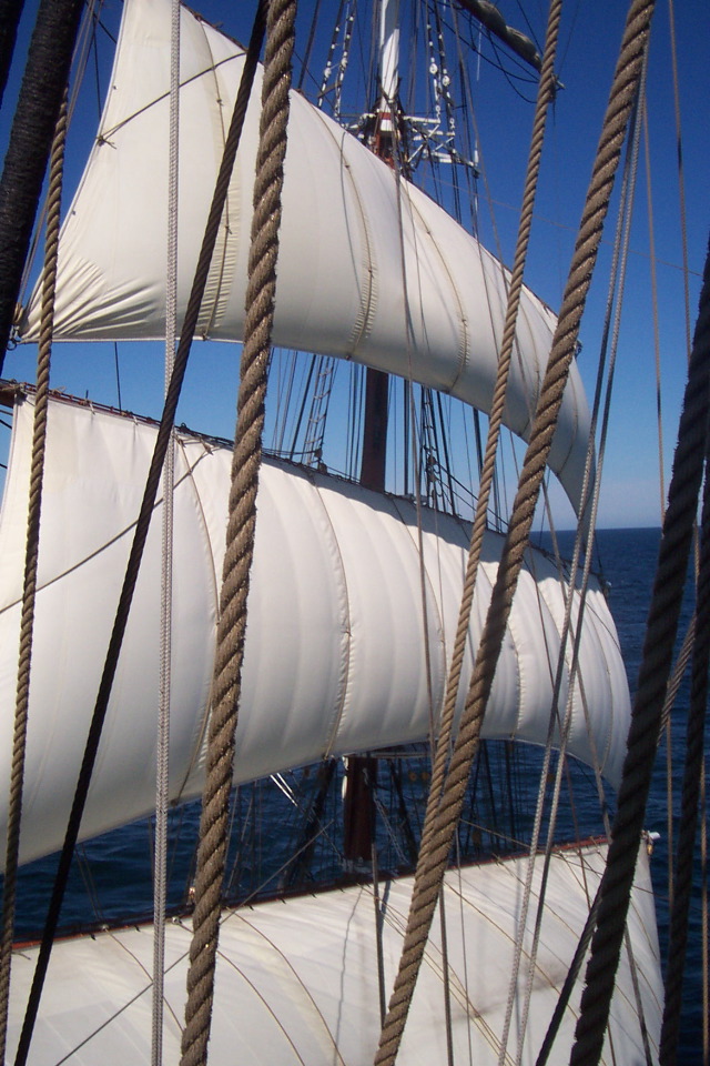 DCP_3857.JPG