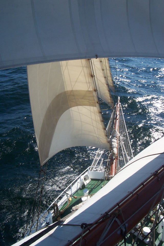 DCP_3859.JPG