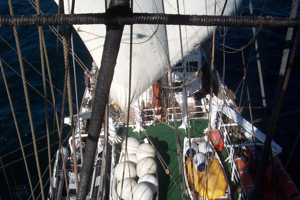 DCP_3860.JPG