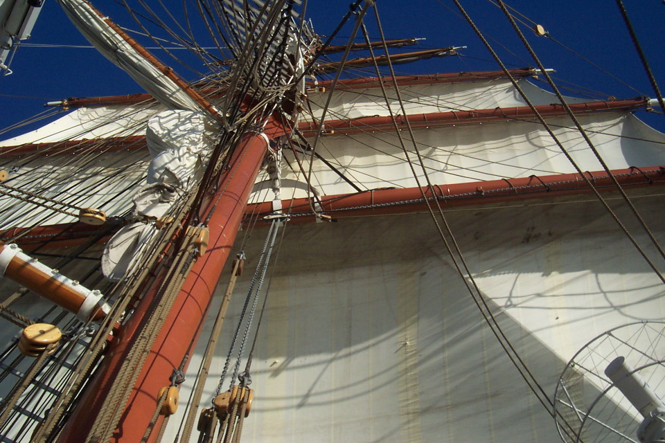 DCP_3862.JPG