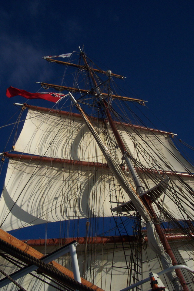 DCP_3863.JPG