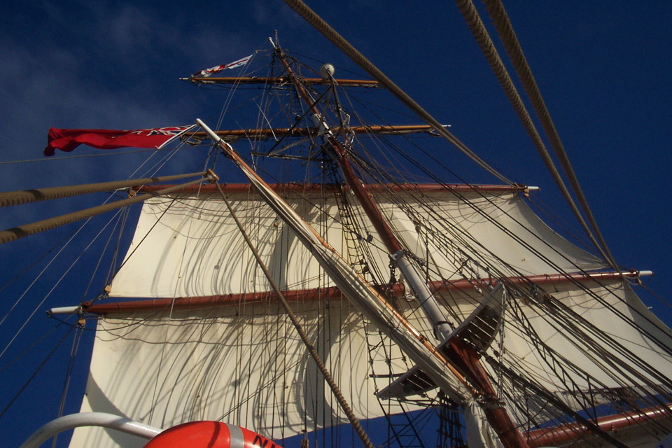 DCP_3864.JPG