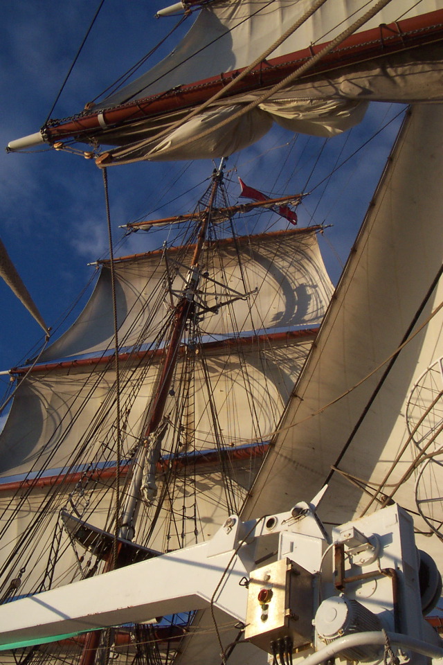 DCP_3865.JPG