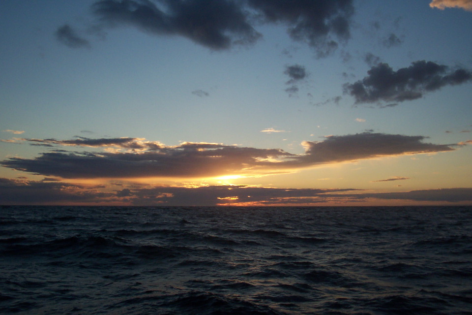 DCP_3872.JPG