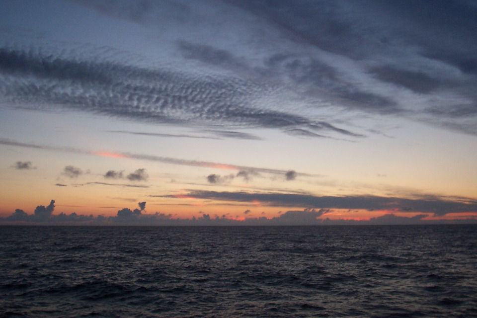 DCP_3879.JPG