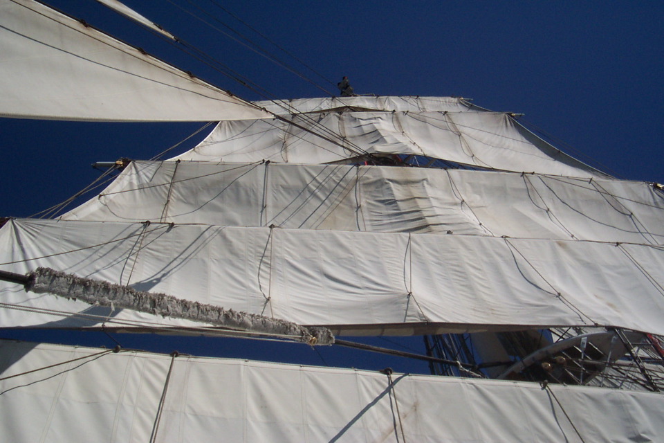 DCP_3887.JPG