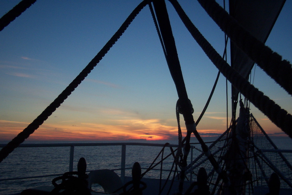 DCP_3907.JPG