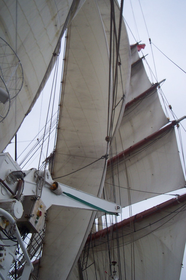DCP_3926.JPG