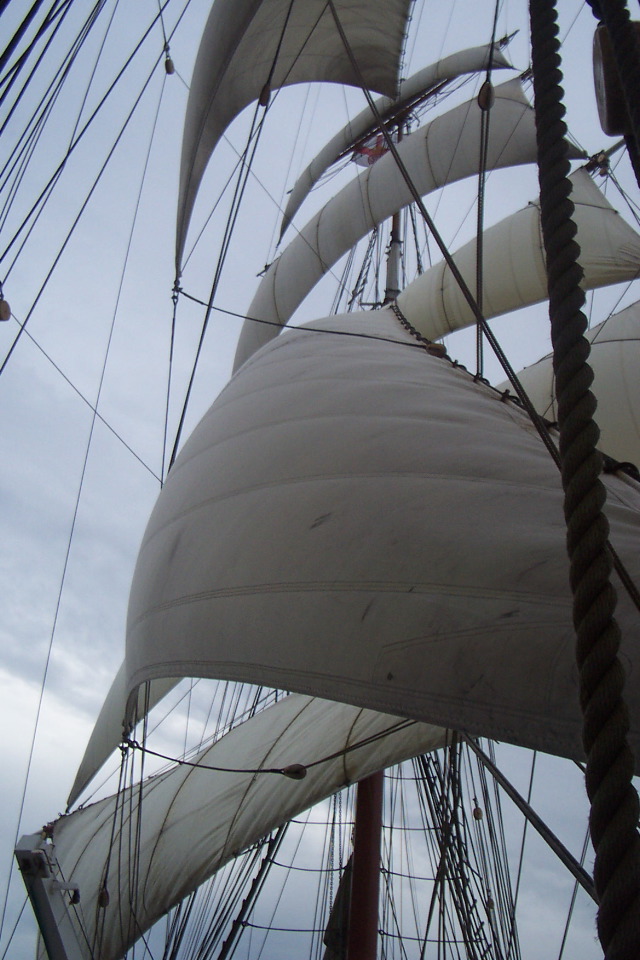 DCP_3929.JPG