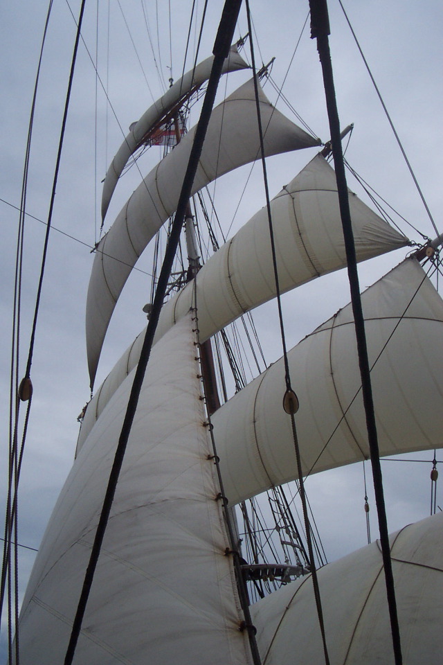 DCP_3930.JPG