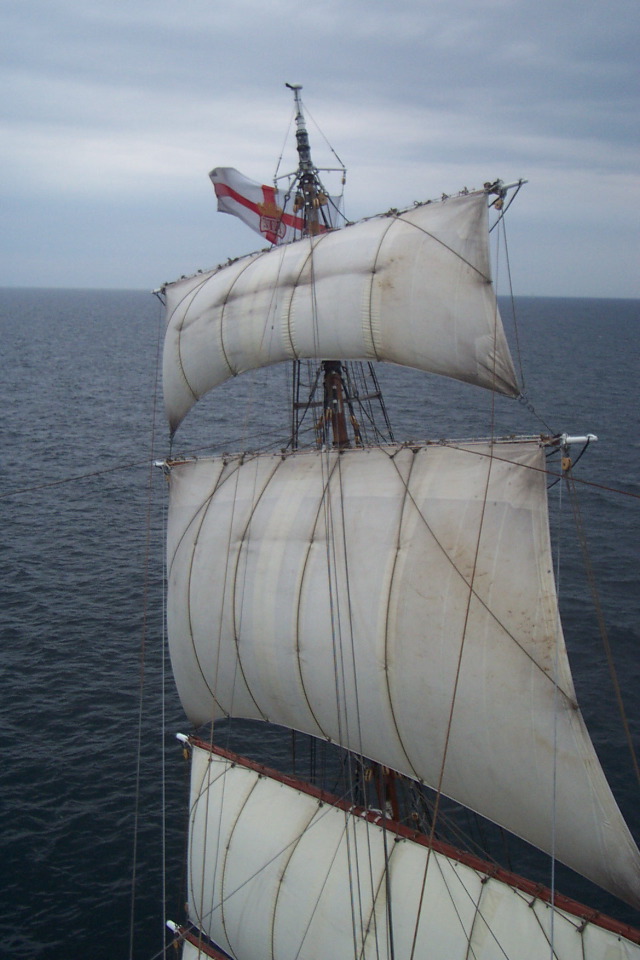 DCP_3937.JPG