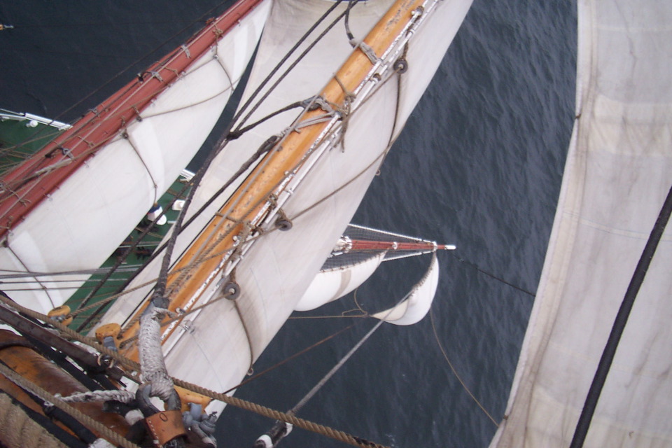 DCP_3945.JPG