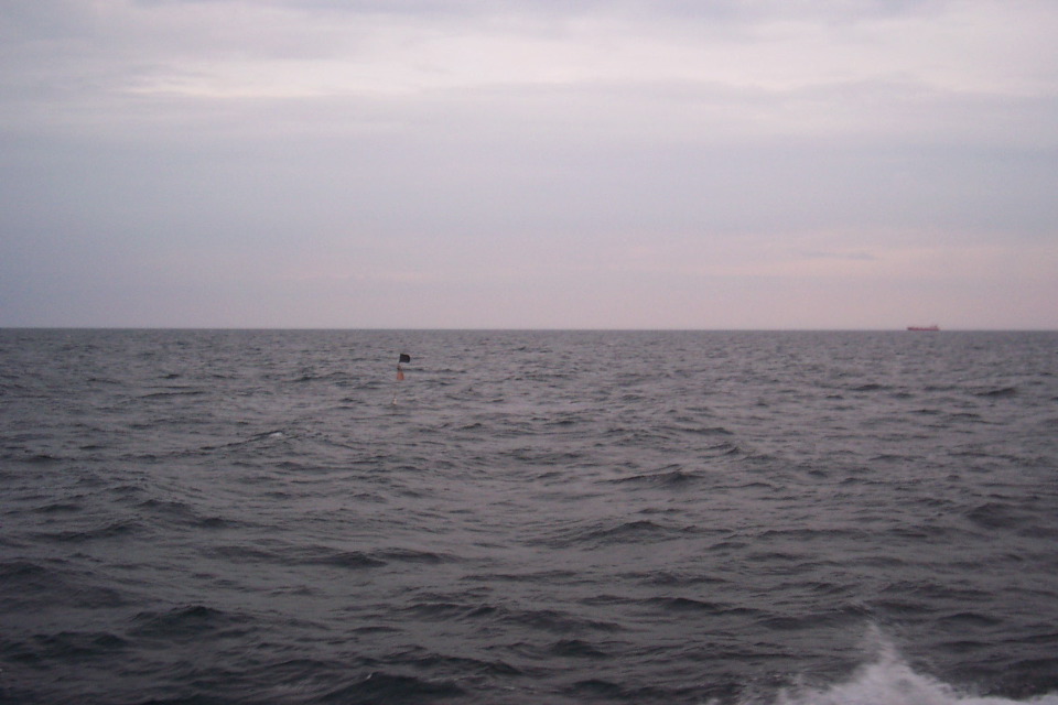 DCP_3948.JPG