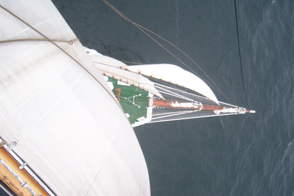 DCP_3954.JPG