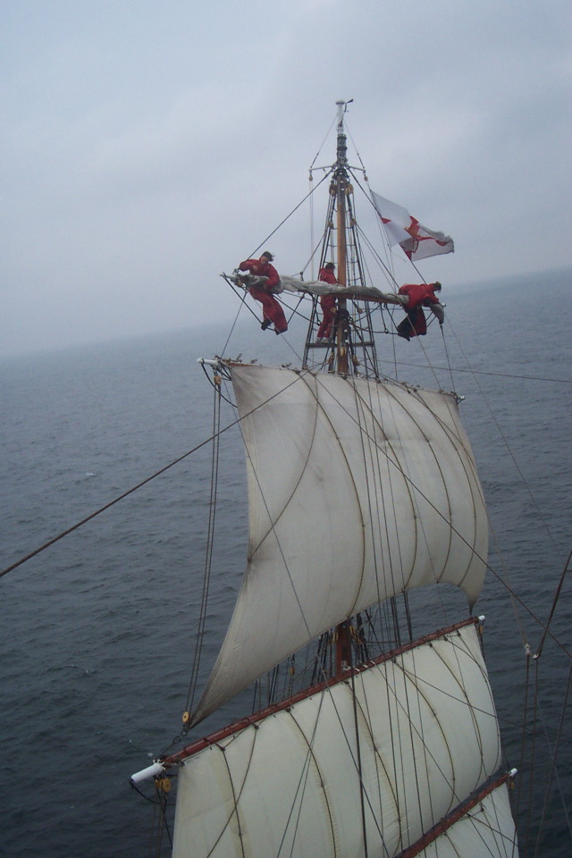 DCP_3955.JPG