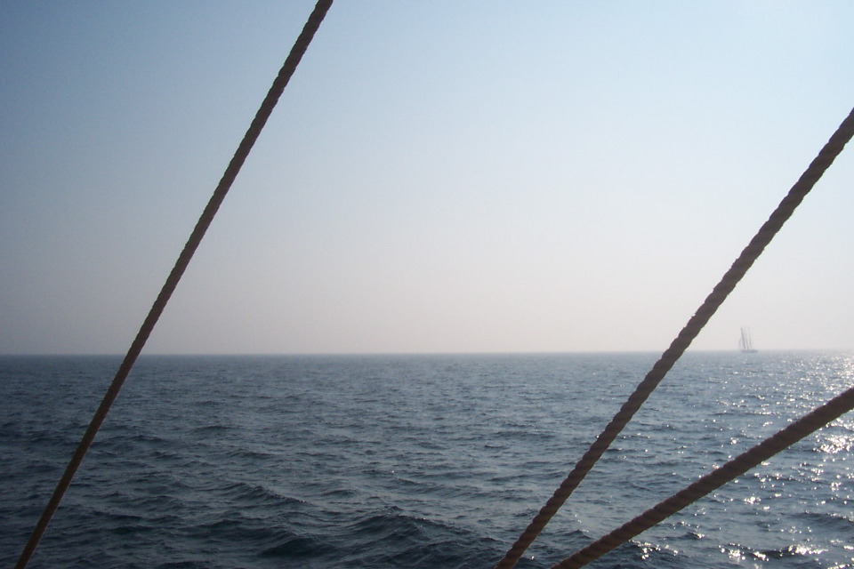 DCP_3965.JPG