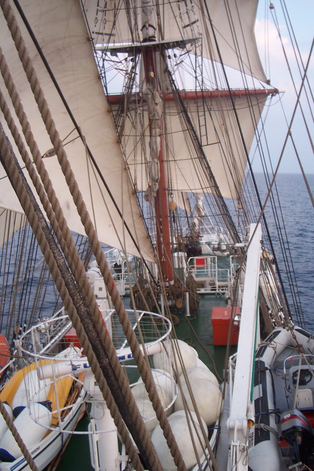 DCP_3982.JPG