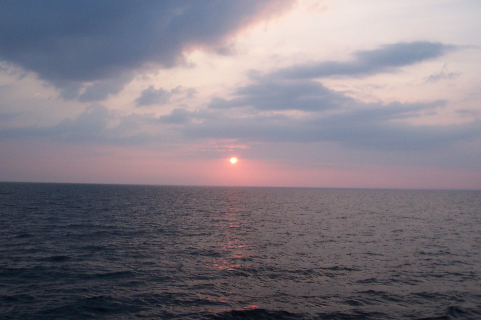 DCP_3983.JPG