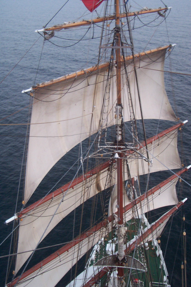 DCP_3986.JPG