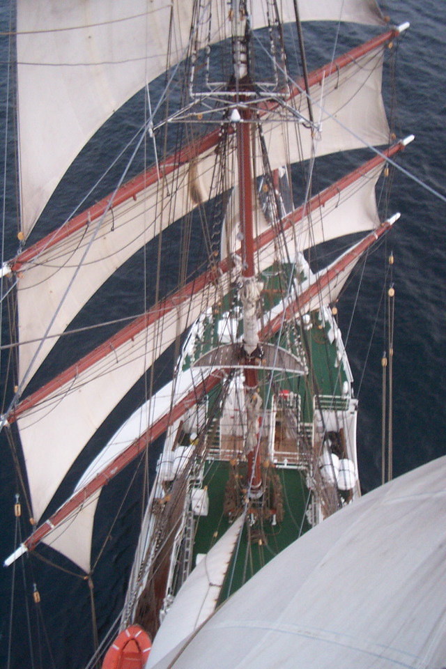 DCP_3987.JPG