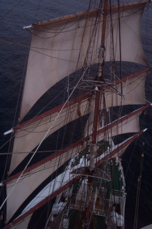 DCP_3996.JPG
