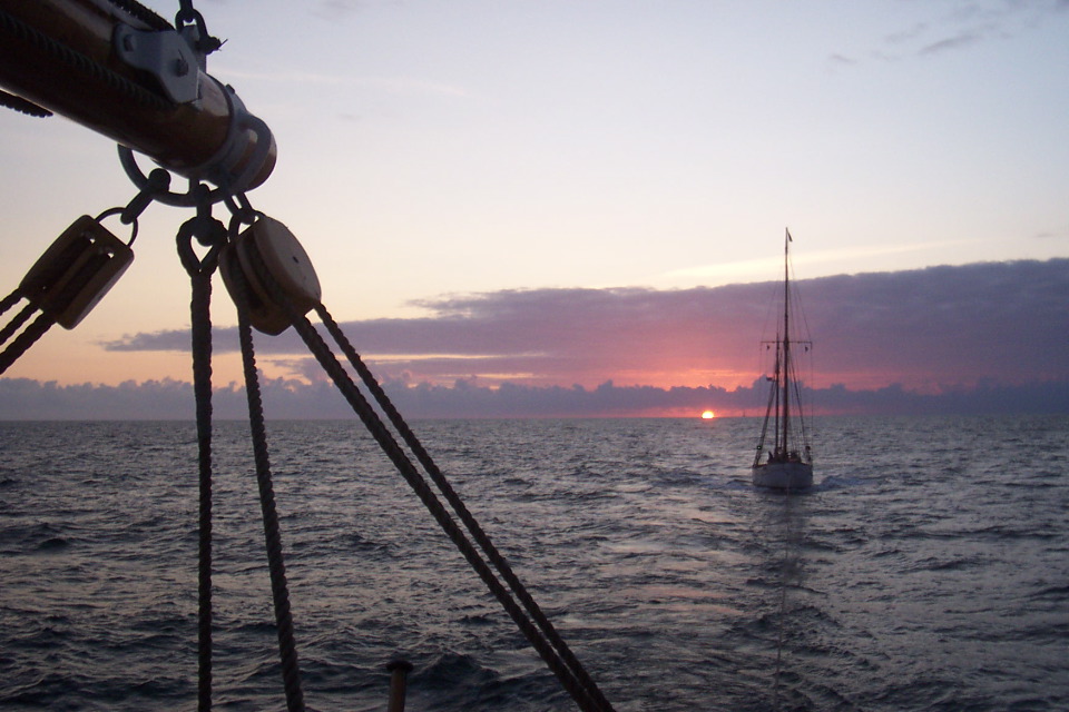 DCP_4015.JPG